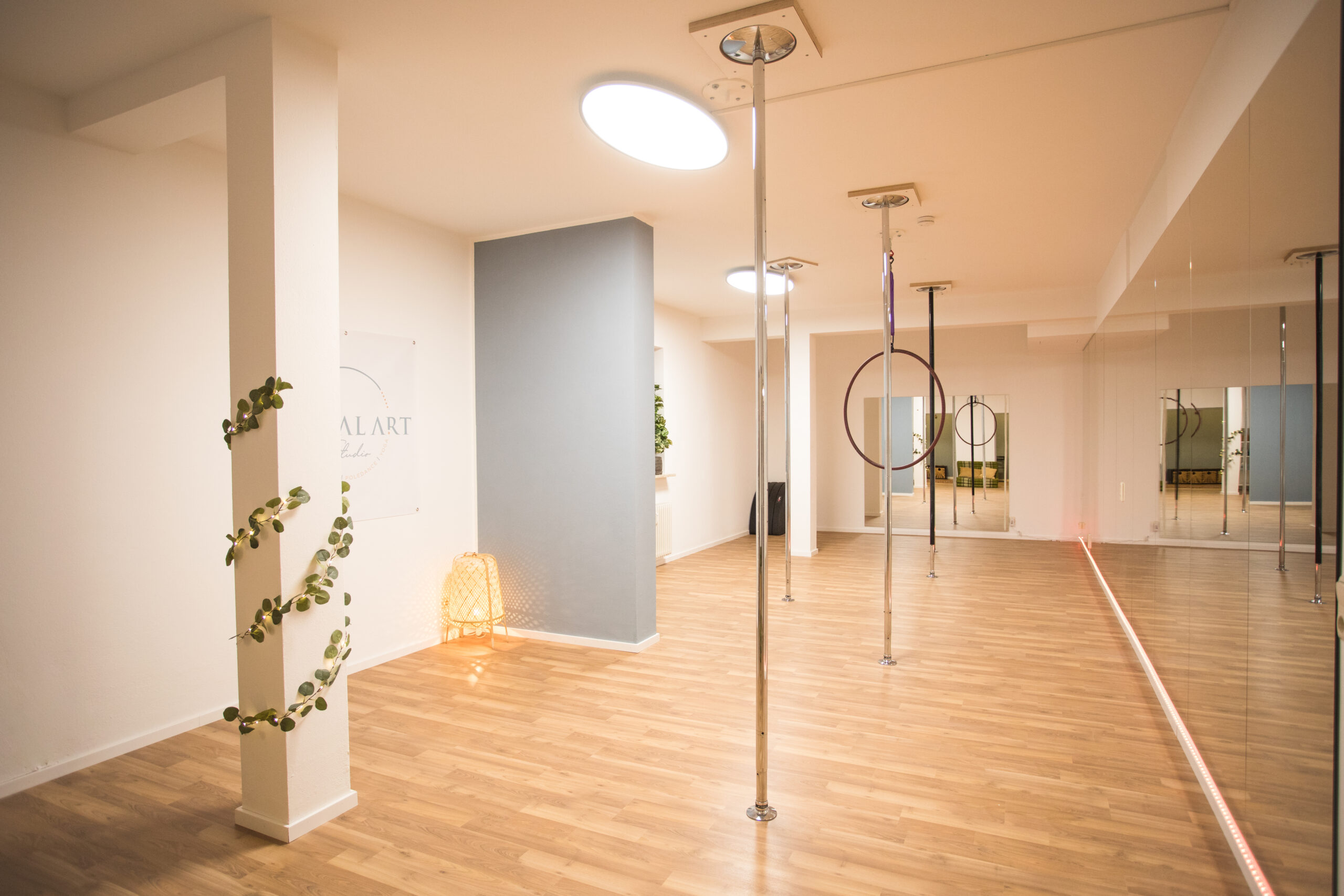 Pole Dance Studio mit Stangen, Reifen und SPiegel
